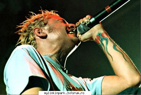 Poze concerte - crawlin - Poze Linkin Park